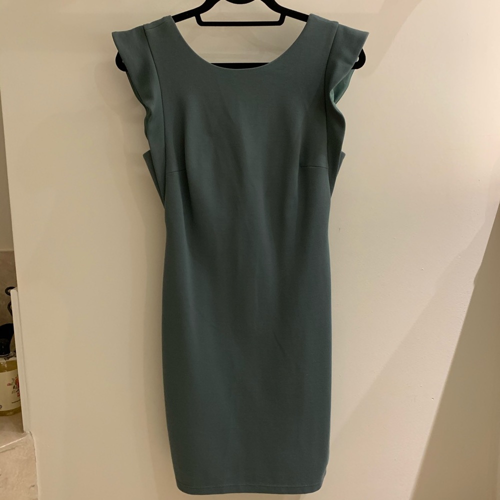 Bailey 44 dress
